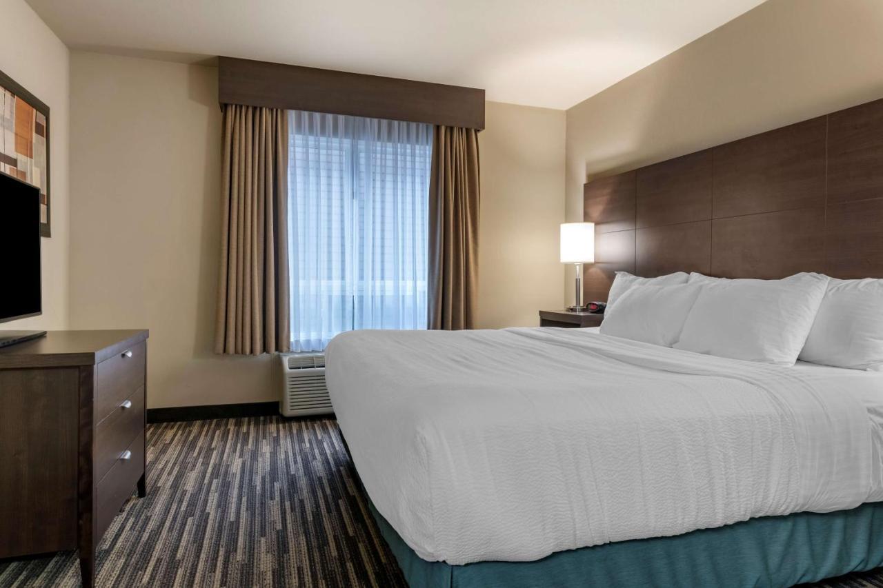 Best Western Plus Dartmouth Hotel & Suites Exteriör bild